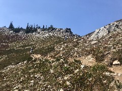 Ruth Bennett McDougal Dorrough; Dan Dorrough; Maple Heather Trail,, WA